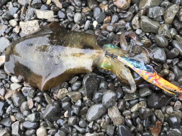 B649C89A-2A69-4624-8E9D-0A4916F75738