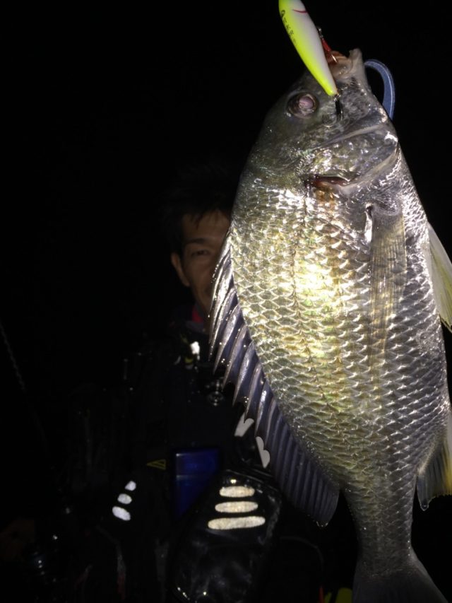 5.1キビレ2IMG_3483