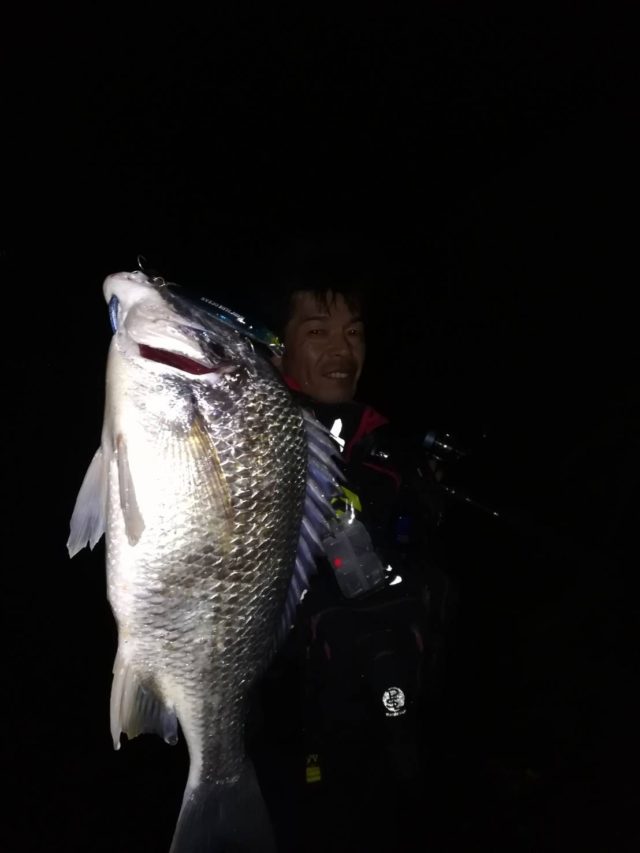 5.5キビレ40ｃｍIMG_3502