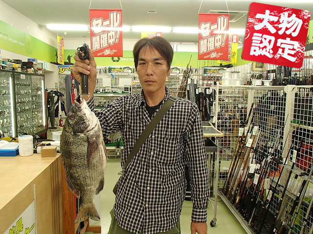 181003oomono_shimizu