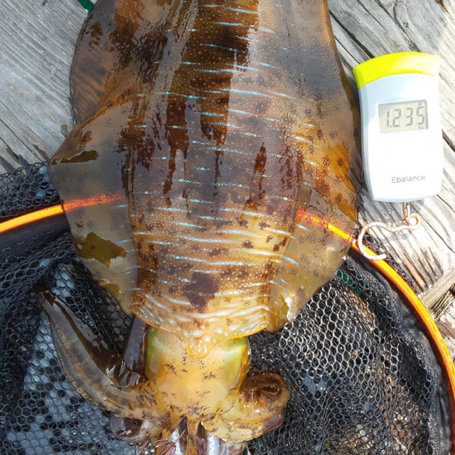 190407repo_taniguchi