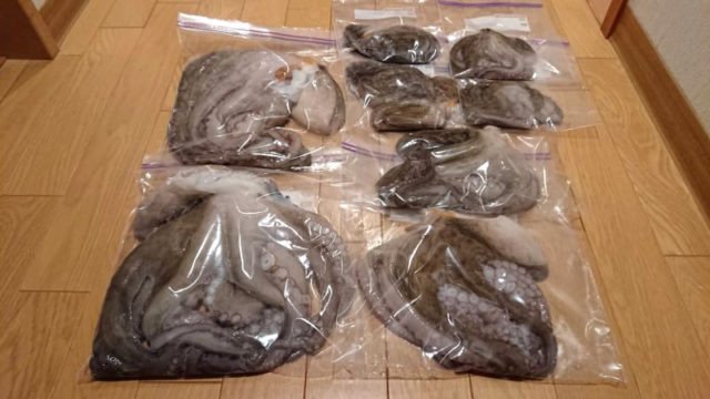 190721repo_kobayashi