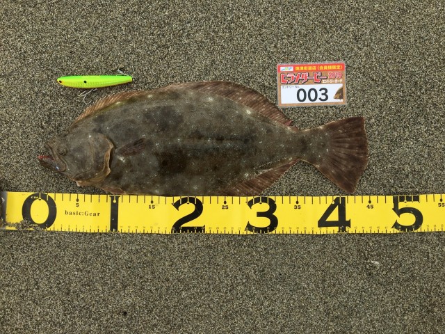 焼津エントリーカード3-1