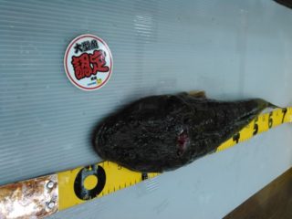 2019.11.03.サイトウ様.マゴチ61.5㎝02-2-640x480