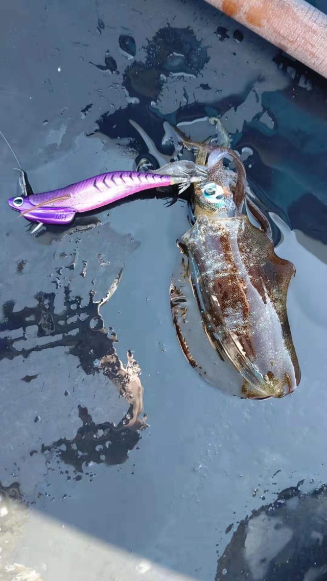 e2d259f53dd4e8a55aead68e361dccbe-640x1138