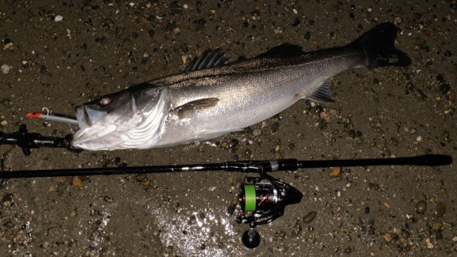 line_oa_chat_191124_092655