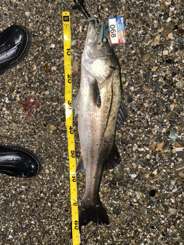 28c92138-4882-4425-a053-9cdc001a8820