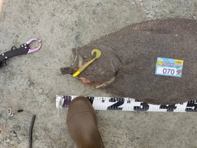 3f0cacdd-a765-4dee-aa7e-2478e6b97ead