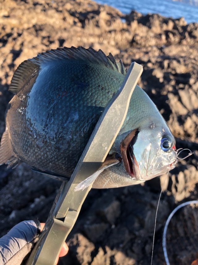 57999BFC-45FD-4E88-B308-65D37FE04BF6