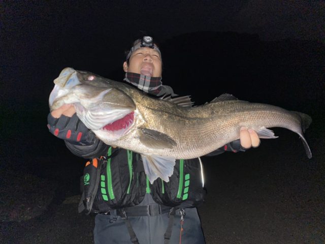 5a56cc1e-ad11-42a0-b4c9-77e2700d991f