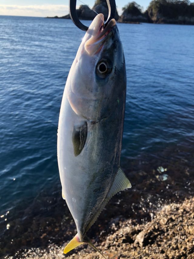 B8AAF3B9-C1D3-4544-836B-B020F44EA419