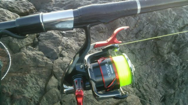 C2F78746-7417-4747-B84A-04150149854C