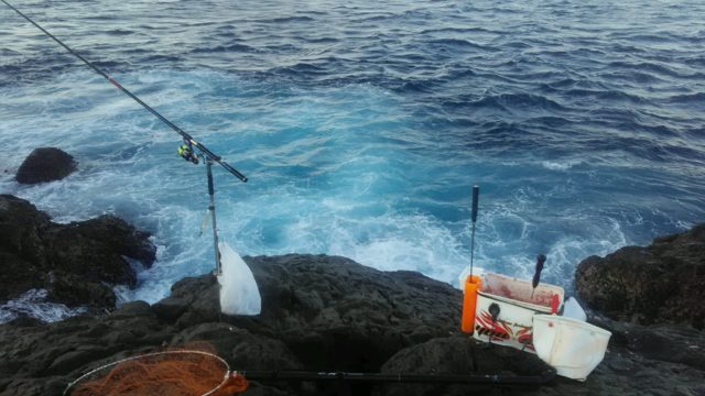 FEFBB88C-7B0E-469E-853E-61F21595E11A