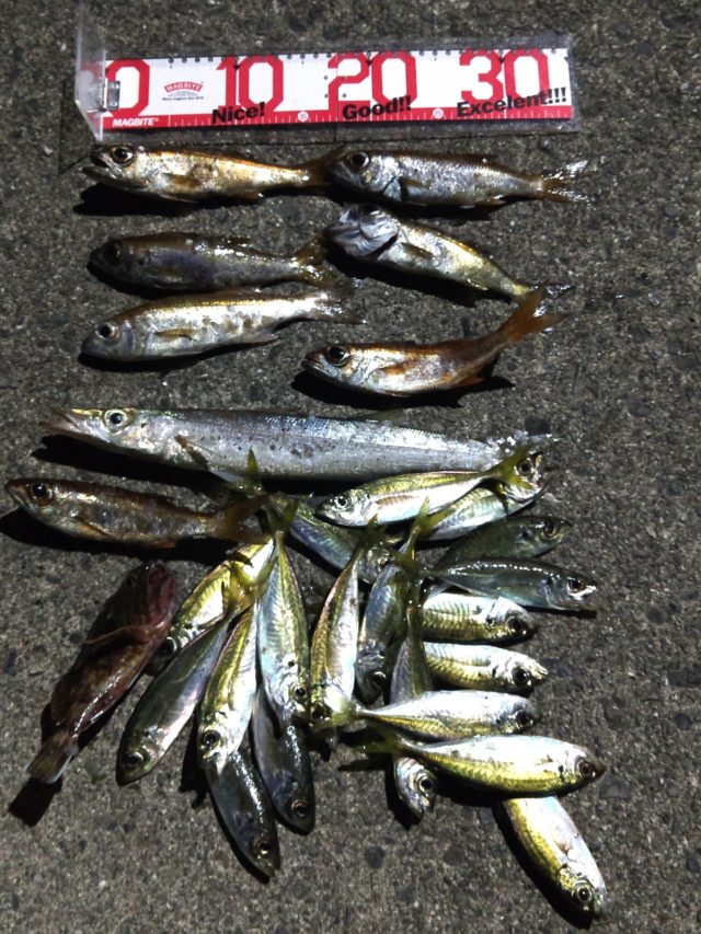 IMG_20191202_222612350 (2)