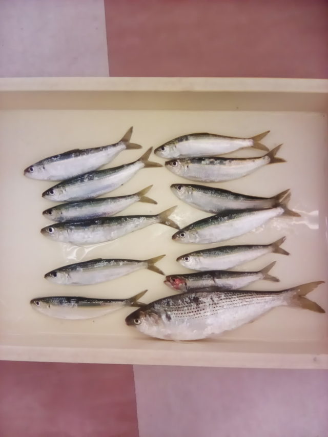 IMG_20191221_104640[1]