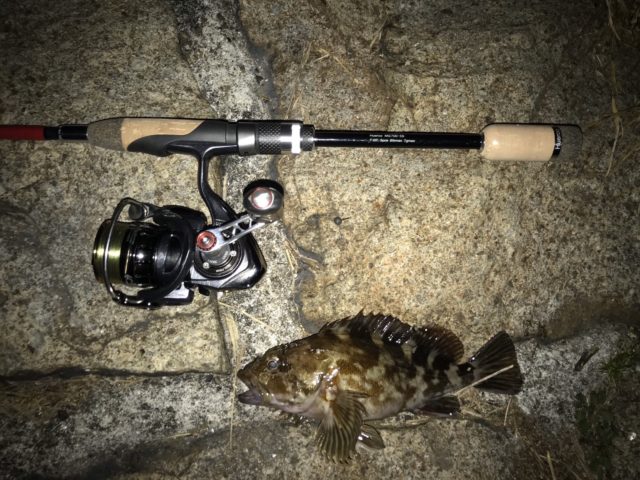 c662446d-9355-4554-a367-a81940dc4117