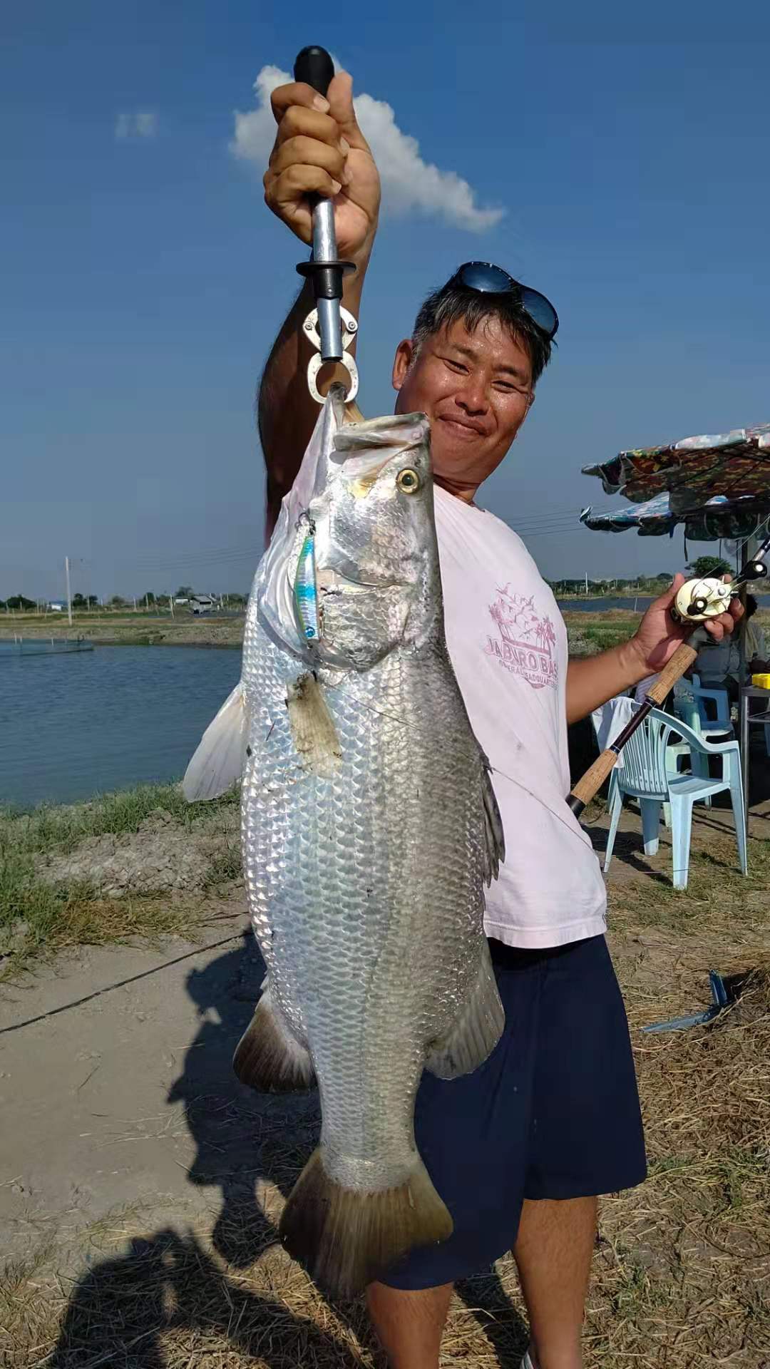 ﾊﾞﾗﾏﾝﾃﾞｨｰﾍﾞﾋﾞｰﾛｰﾃﾞｨｰ