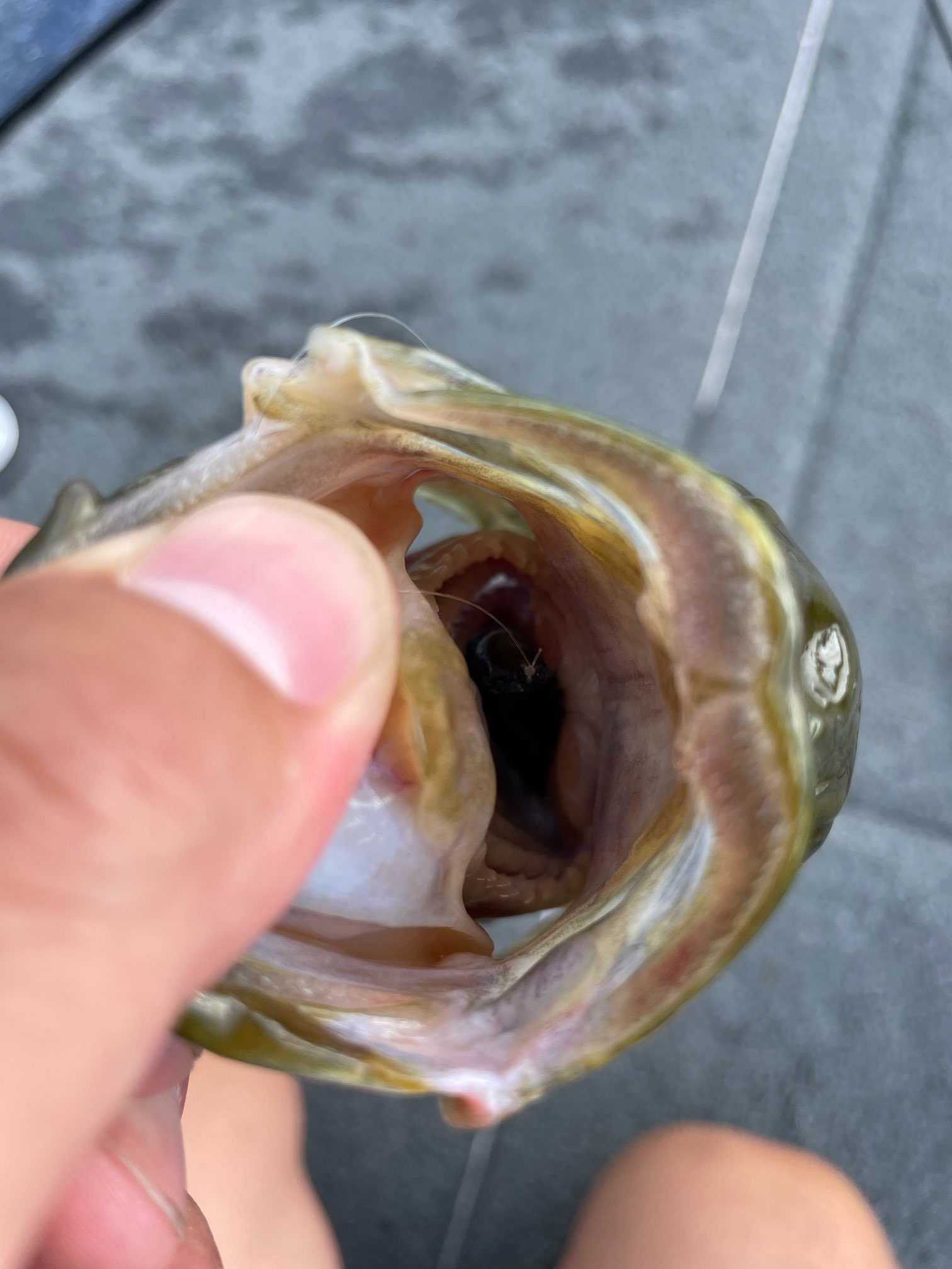 C5DFE8F9-E778-4BA5-BD4A-A8BC082D10A3