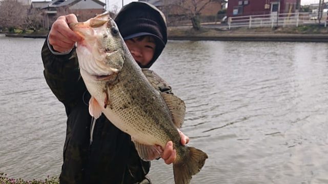 IMG_20200205_162238_007