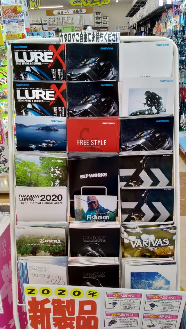 P_20200202_110000_vHDR_On