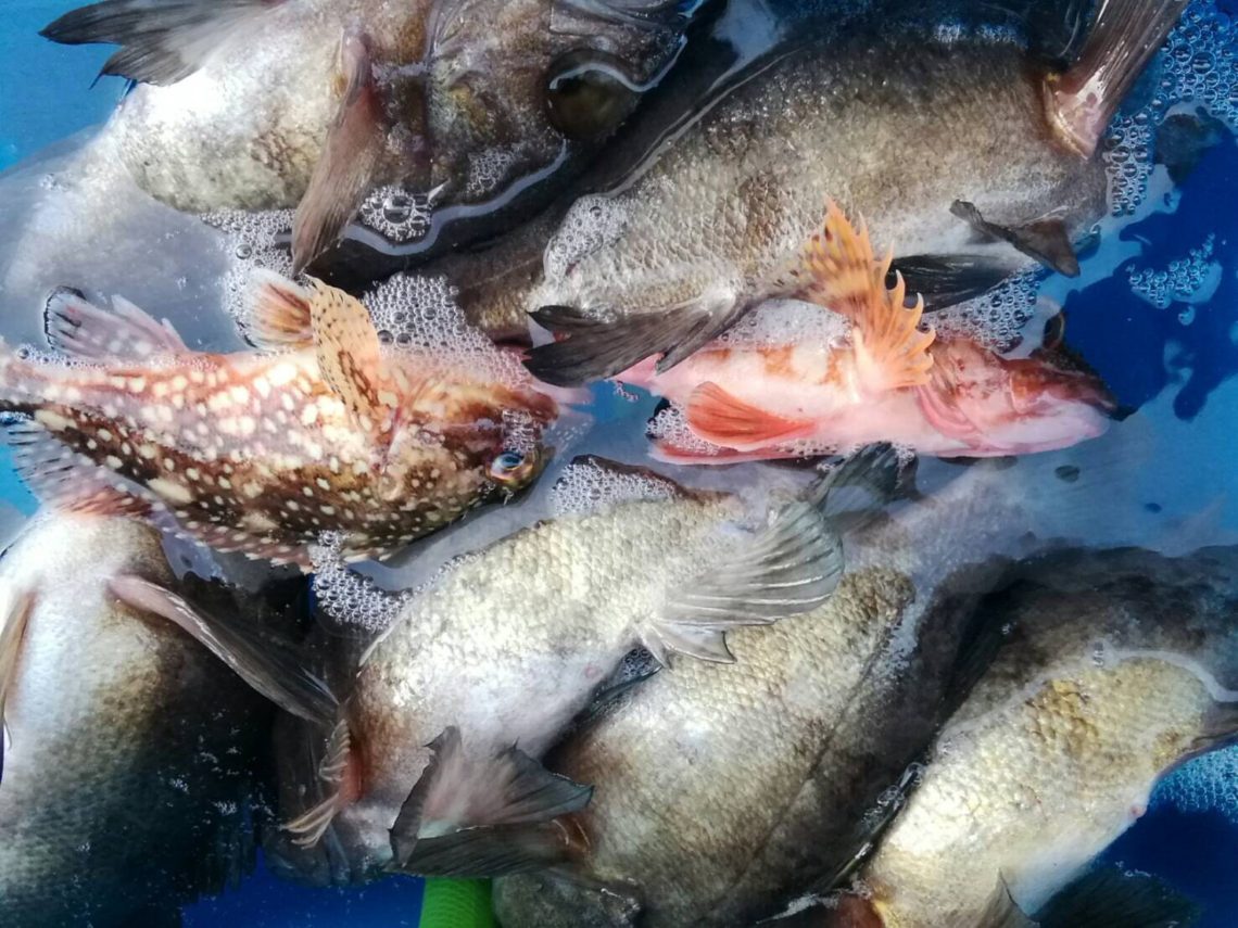 uOgzN0FOVAWpJ3N2PZcFFdciHFRcVS3JarjzUBdE1XBV6Ea2_DbUbbreD15K_M3zMFiyMq5-IQMtkEcJNGFtO4cWgSEIRErWUuJeFSHeRrovpYUpXmazT-HMcQnyFKVM