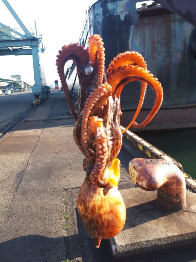 NA27cvhL552yNMnOQm-TKsMAjW_HwzBlq-YWe3BSz81BrojKYDmkAKvMXUbEDIff6_icW1BzKwmtH5rdshVeWjOHHPLMrgbFPSWCa_xKVrfSYbRhhQORxxY4SqpUGmV1