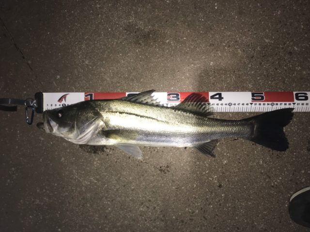 NRBTlcLbtc17CB1fL2I6C6VMrW2It8wtWm78XRJUxKkMYetnfN20rLafD6fLKGr5PhAhH2F8YVy_0qy3pcynn1wuwGHmLM68pMyr4C6BWzamcmak1c455Z3WMgqIQBM8