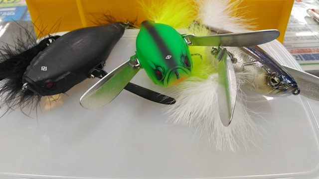 line_oa_chat_200411_153528