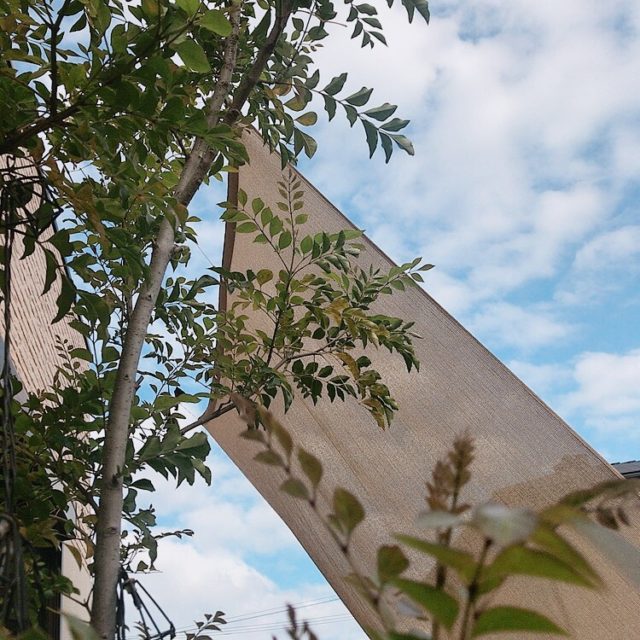 line_oa_chat_200427_182138