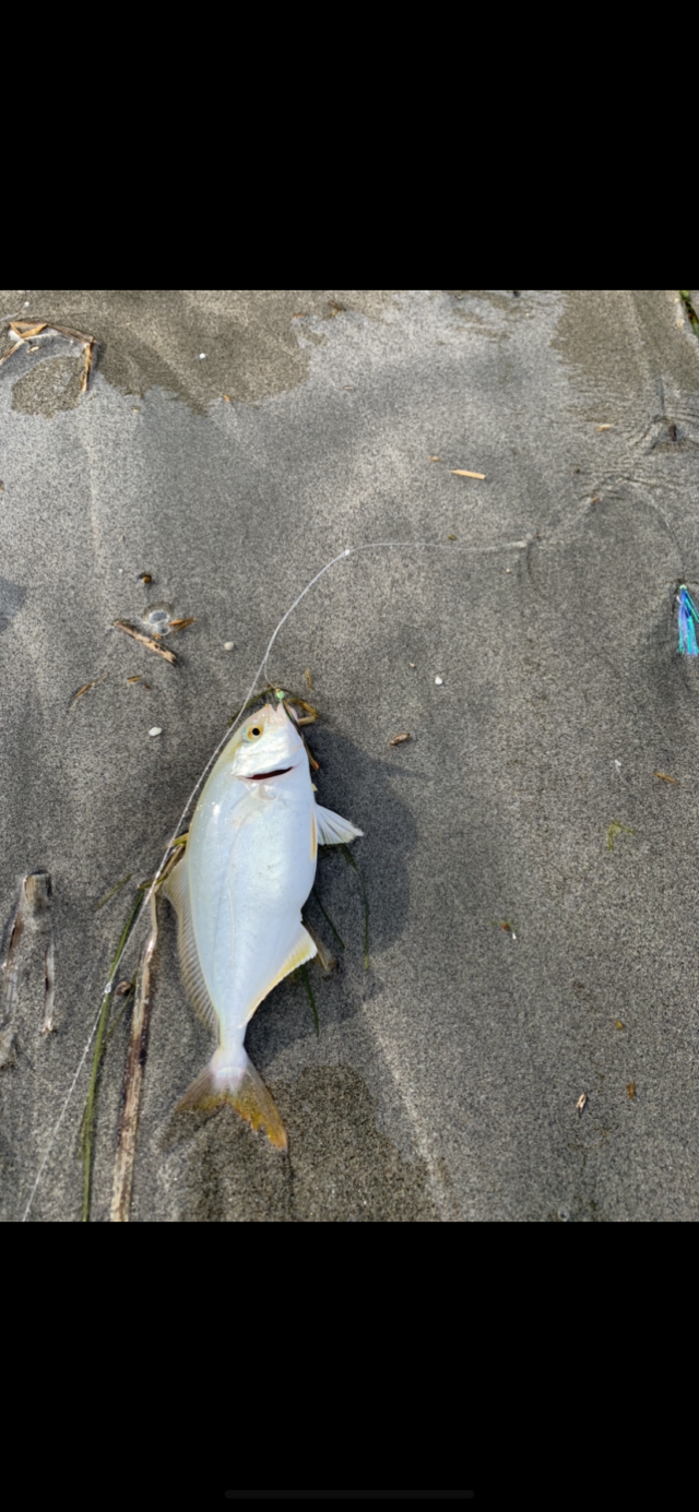 4FB73381-E3FD-487E-A0F4-83ACE84FEE94