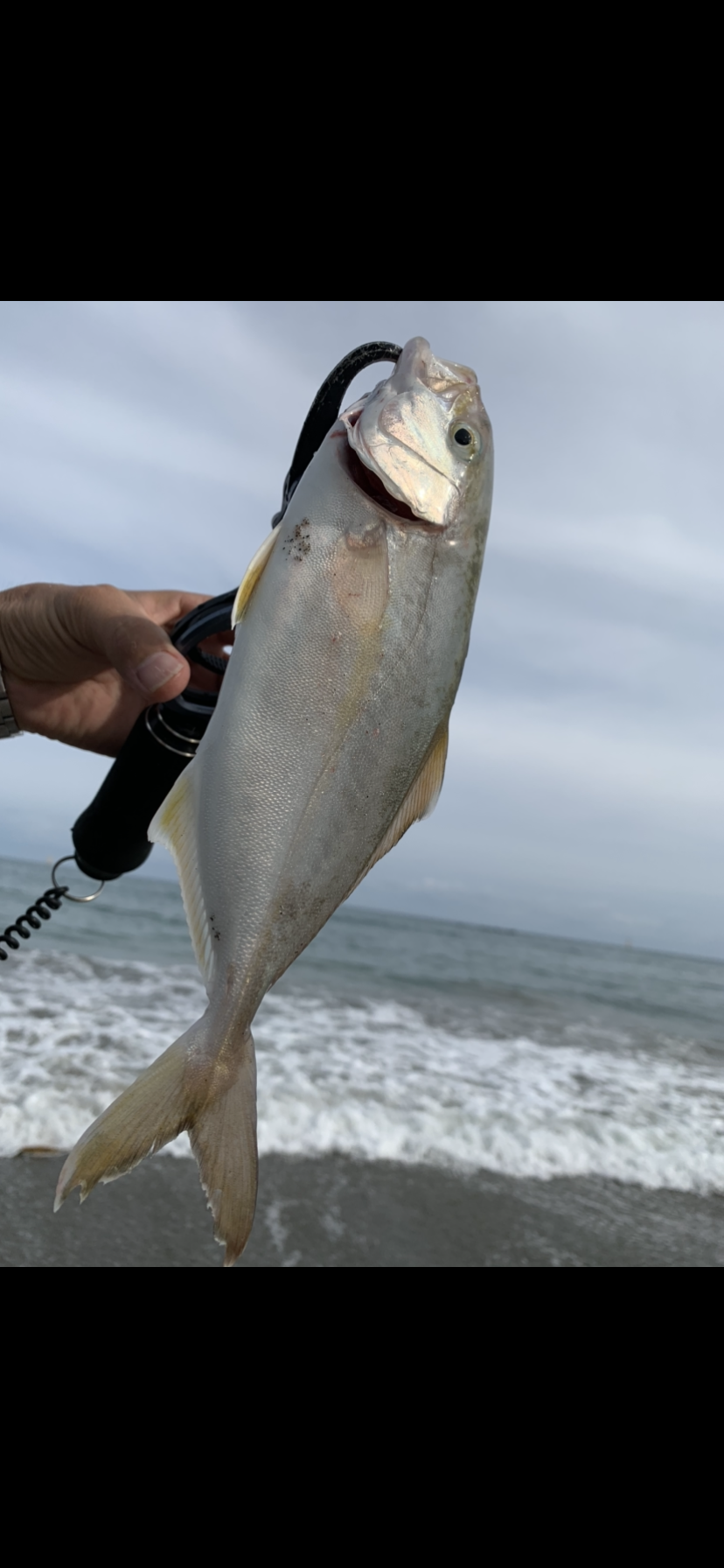 72C013DE-9D5E-4F93-8D56-B19DFC330AEE