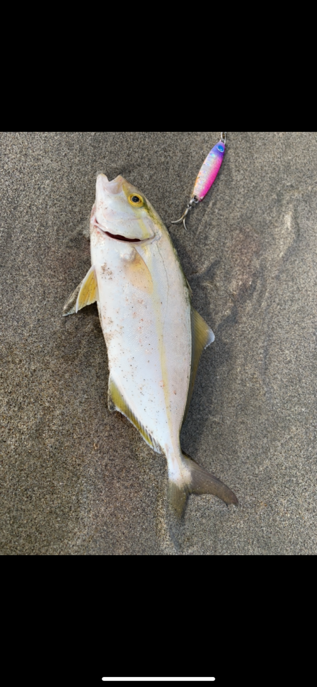 8CDEC8B7-9E03-4001-A743-A3B0E59D4C71