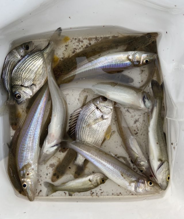 5CEEF5DE-9289-4C51-B5F4-4F237F94FF2E