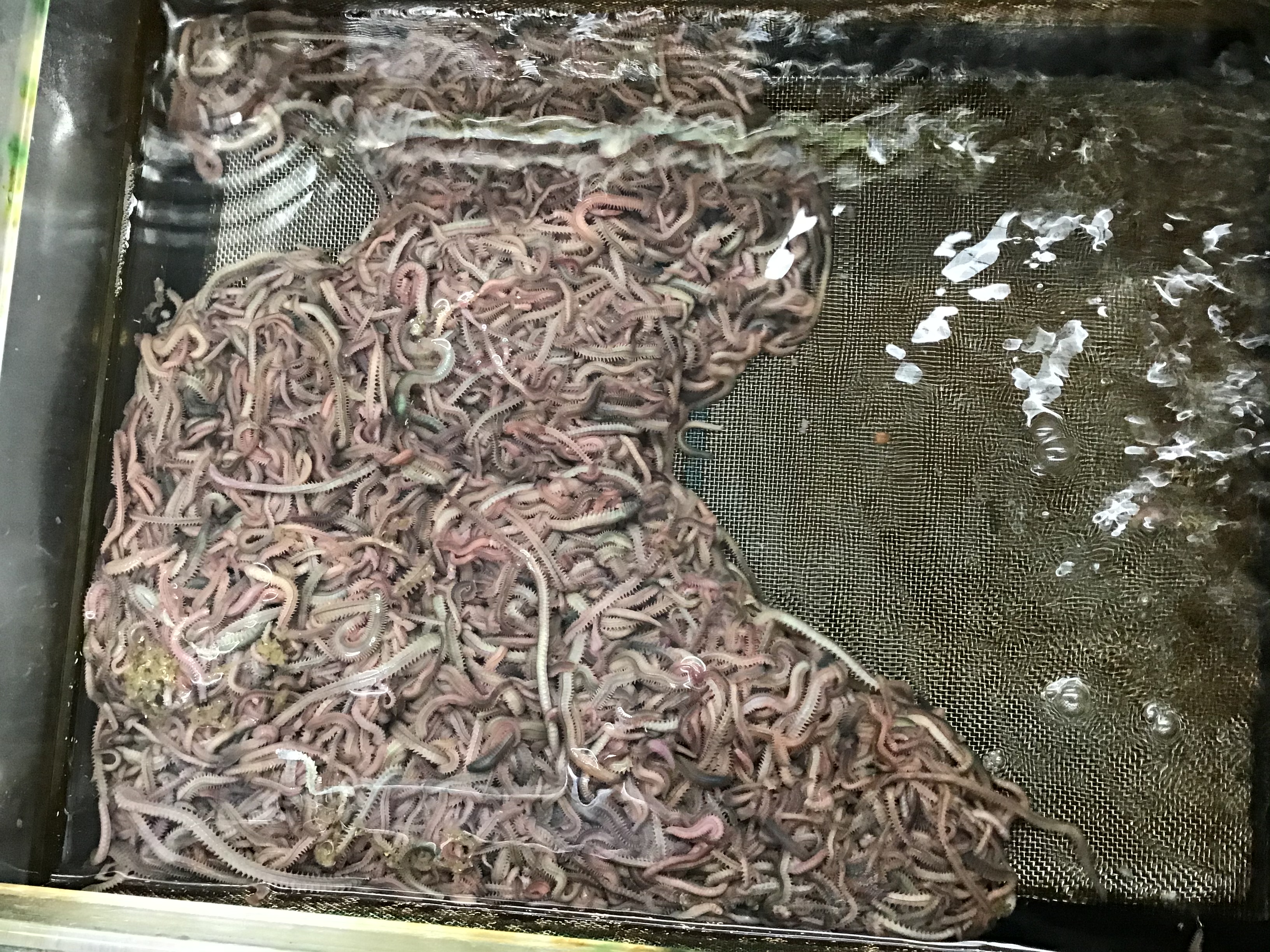 6CBBBB1D-3739-4FB0-A18D-0B2F1F768EDF