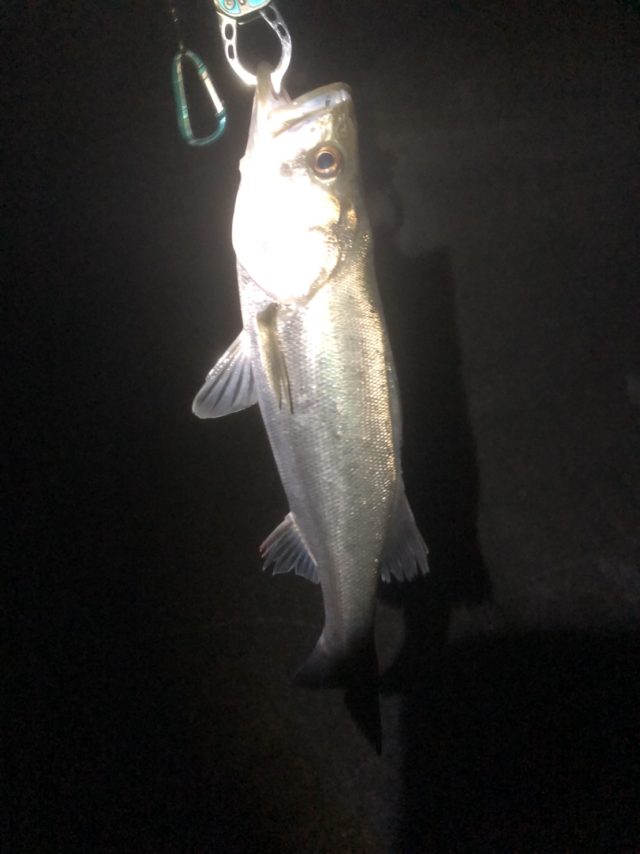 9b6PJ15mLXSMRoTG1qOTtM5vMSuZJsfrnk74MfcvMTt7nu1BoA5fatjBhqJSfuFKfArdXuFjfpkW-JugDWF_NlDrsd0iLsnLa_aOoqGopa1tcsY2lC3QB09LL2KnD6Yv