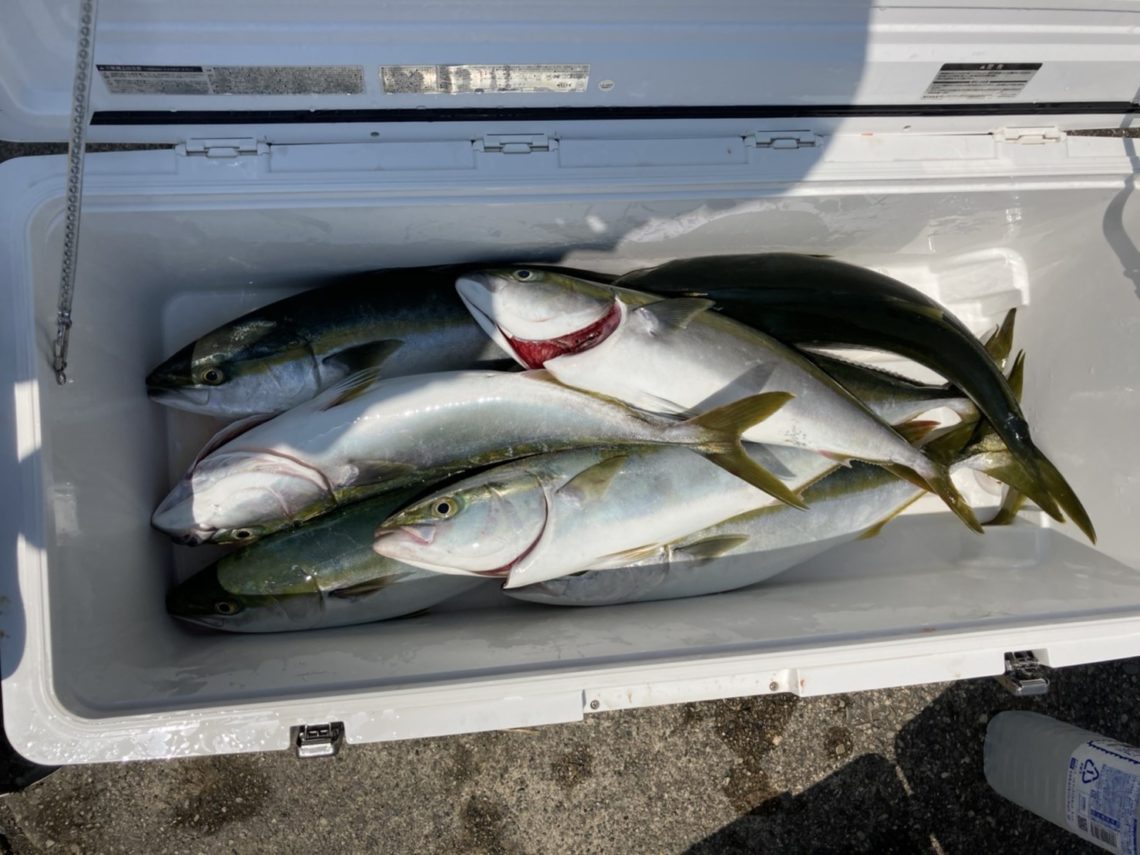 Aox8AQa3UtupddehcTJnbzL70BOuLu8O7QllVIirlQ7DHEErzG6bzvIaq16iaetx5E0ICVez33ylDSf3qZtPGLzxHtVn-qI3Pxa0zobs-tSkLNdhFZ4qTcQRDhOyuQcg