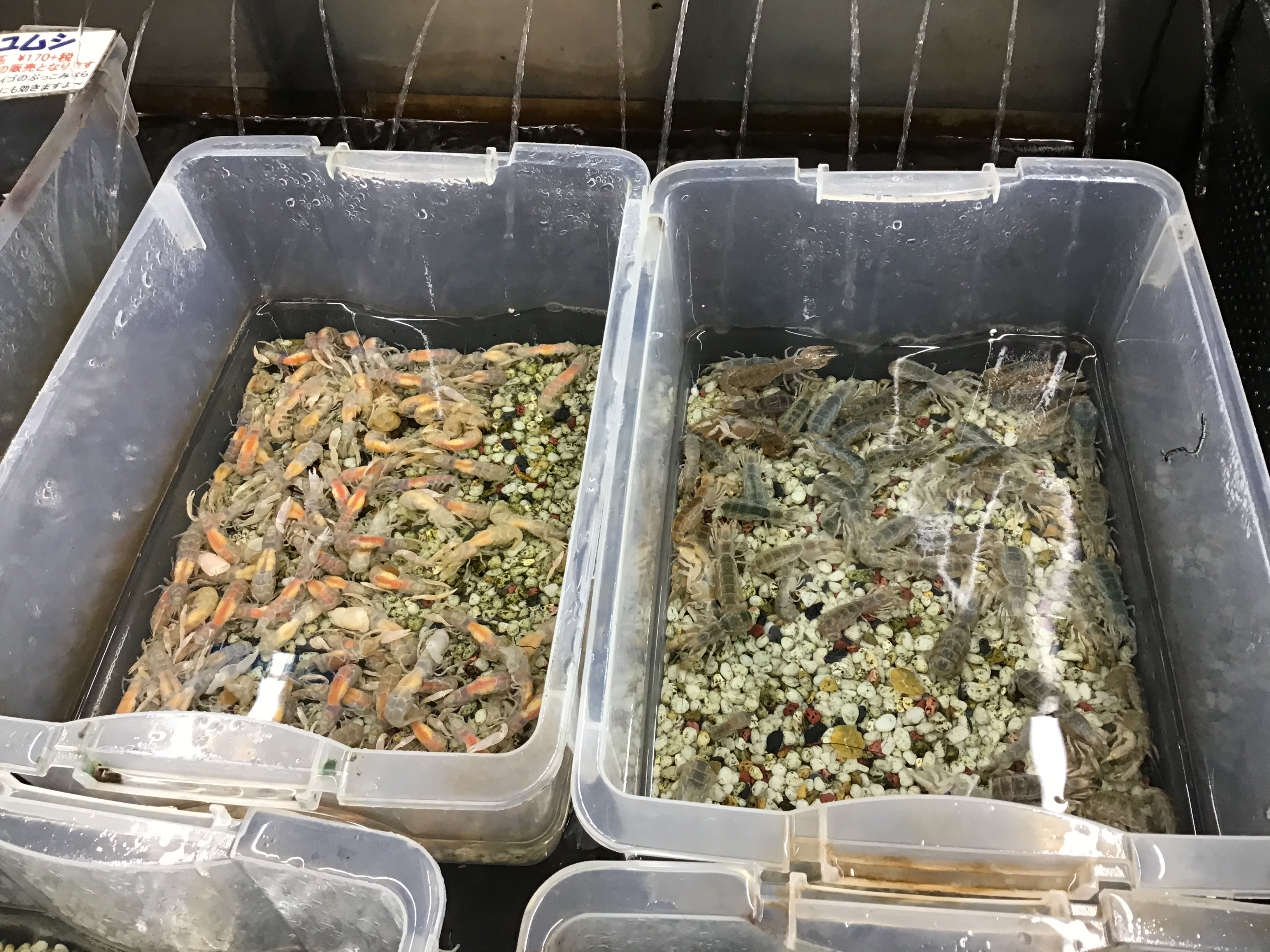 B6C70ECA-9FE9-4929-9DDB-C308ECD4C438