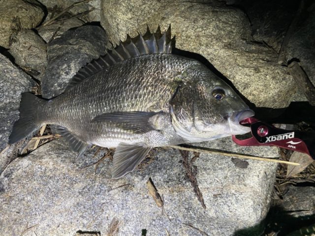 Bps0iha2bcjqPmLmgTUchmCP1RF7cPjbp8vp9Qnb7xYlikKQFPJ2OwcnJxQJ9sCJ_nNZGLumGhovU2g2OX8_nkiRnwjAy4Kk2-jpcMEq3jtMf4COJeuf8kxc65mgpKvo