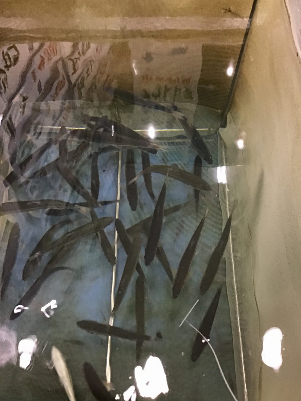 C0670879-365D-49C2-8E06-13E35DD26F1F