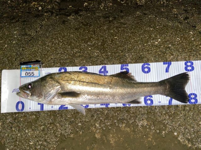 L3r5YMTR2713lnIxBKzv34L5KfcsDF7F7wnplu5LtKd-NS4D-tS2k1ZsKTrQXjVL3HqxNW_ViQcvZcNk1mXpn_OyMAKoa4l_Ok3ZgPg_Pe8qPD4VnT-CjXwNGPaCxxTu