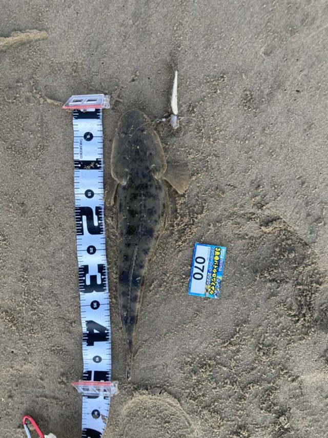 PbuRu16iwWpDo-GK8OpjnAqxwraOlDSZwgwXfkk6mZD7aab2SMN-t2qRTTMn96Tv6qgstC0c30mqbrV_QTg5j-YksyVwJZ5LOv3uEHi5WZWOw0wxrPHEqIoVEOga2BLC