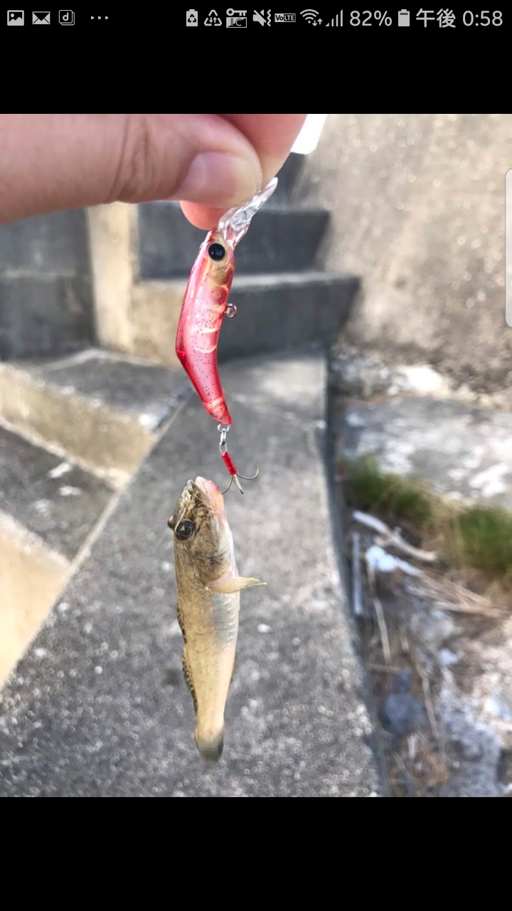 Screenshot_20200830-125820_Photos[1]