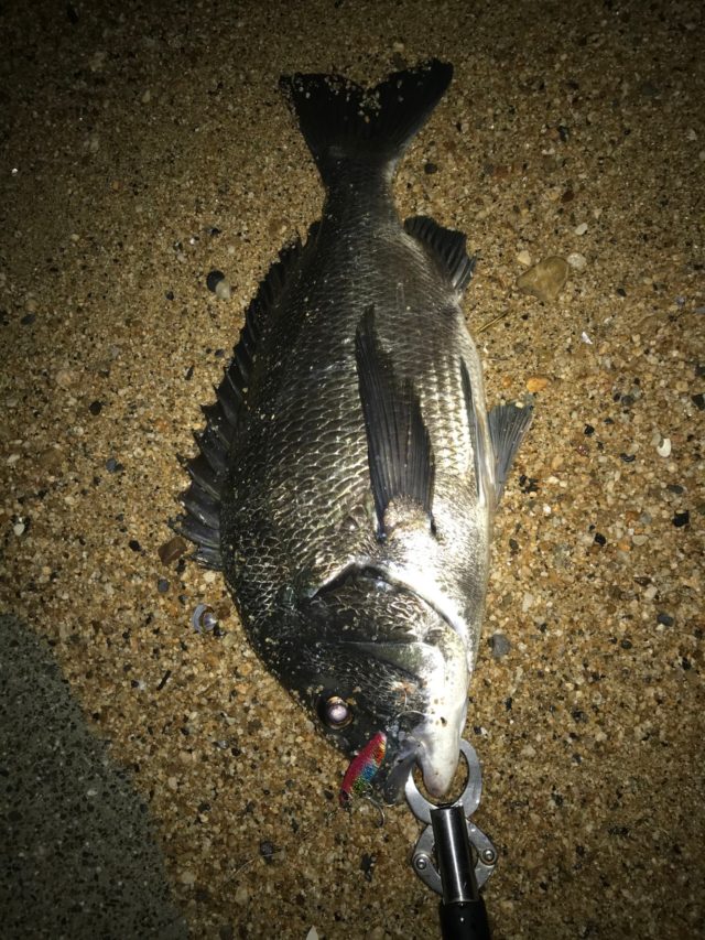 jGiRSgg-MvPTQ0tHvkZ9bbSX1PFL6whXyadUMBELW7h2ND1c5BhNLNoQOgcD3pLG_q8lzCuBnhcnn73-csZxntadrQodQvgH_sGKikAP0TQYSTEcUk_-9NCB0D6u0QRi