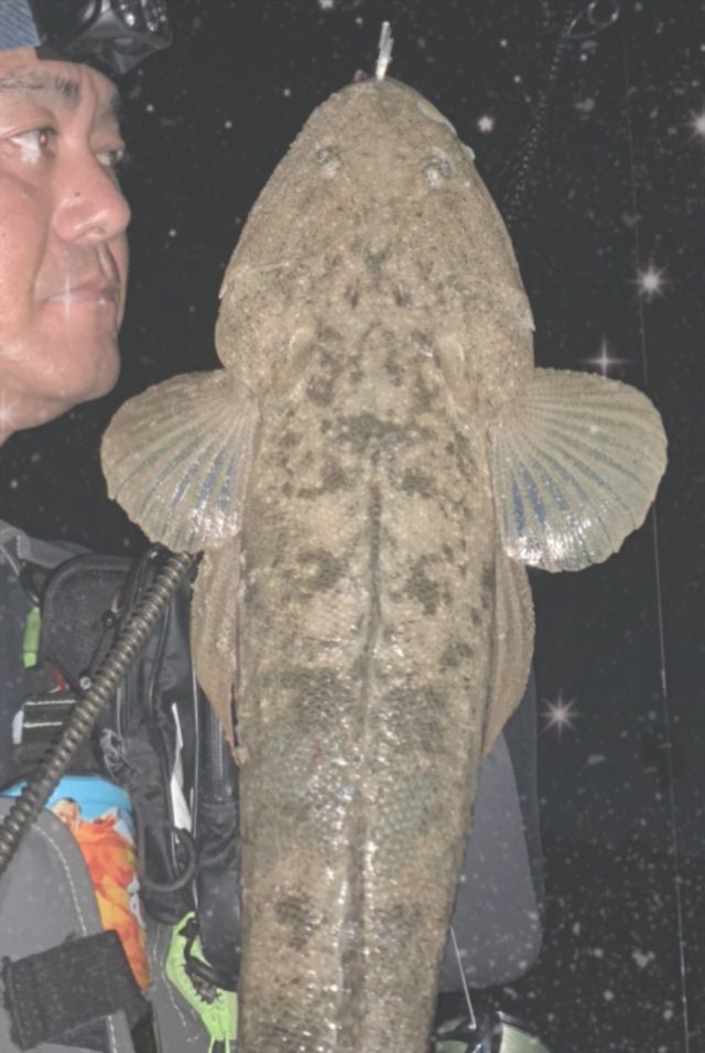 qjzTGT2toIylCcxGDwuJNENYdsHP4nIR1osqi1mBnJtiGrgdaRb3arXJS9OWPQkiMPV5OeV6Ad8pg35HULxqtsTXLmdYVP-_nwd0bd3ySOyZ_ZJC2MaSRyJ76YaQBOSp