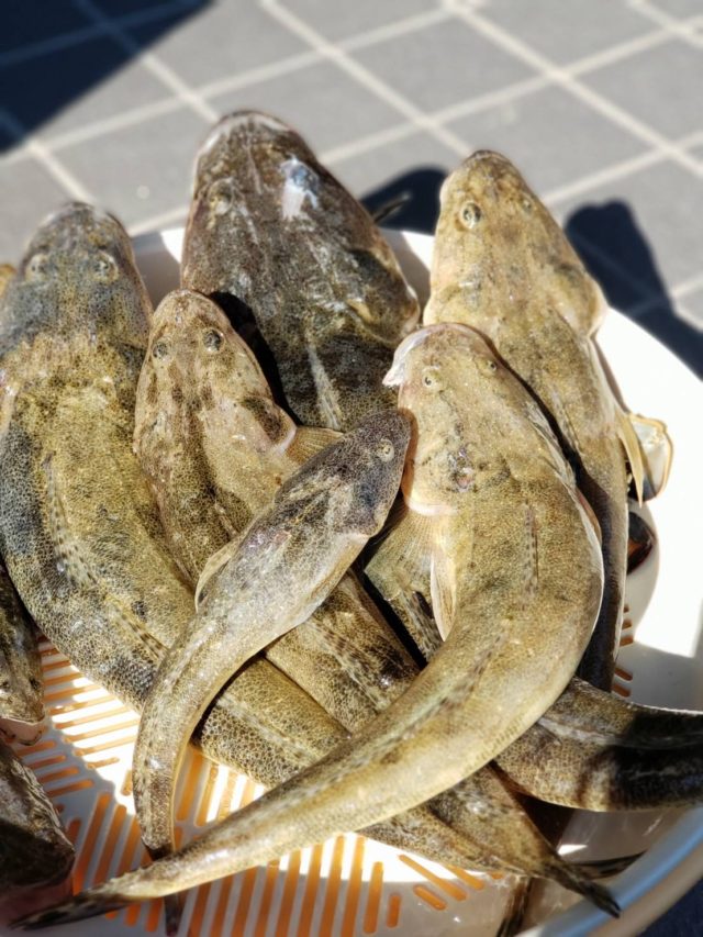 rhCjVcQPyv7cyav5tyb1SXJTGju5XXvSYUhJD2O1tZa2yHVPnzTXNLmK74RF-cT5BL7MHGTJOh6f3FlQROpvHJ8vzPEtkKqp2uDSJJKtFqAnpE14fx2ttnvIpJWx8vwX