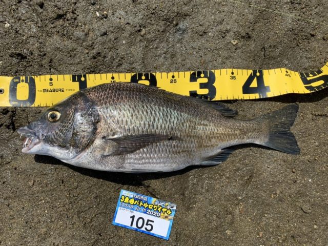 _sf81mM8ia3hdEcfl_9ChMfhel4svxTfujVxzNnvjFw5tWpvxmqV3RogQxyTp-tM0eU14i1VTZognhecd82EokjasB-Pfy0Vy_wjHjMhCm4kJDYYe7u-UdwDfygB07nt