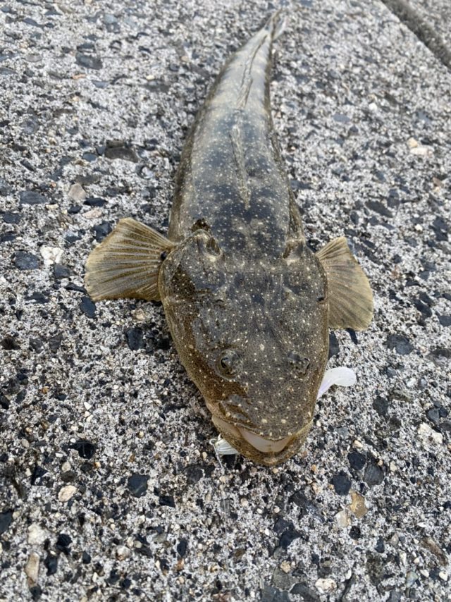 tVY3vqKnp3z_7Q_FNKUqL3dAzhAJzZa9eqrk2Wx9KI3LsXJrUmWomJ73nzGVv3WMLJXkJudPhfGFJTv6923YhnNRWii9UiIqg6-ic1y1hbHzAGG85hF_JtV0cRlGP3Ot