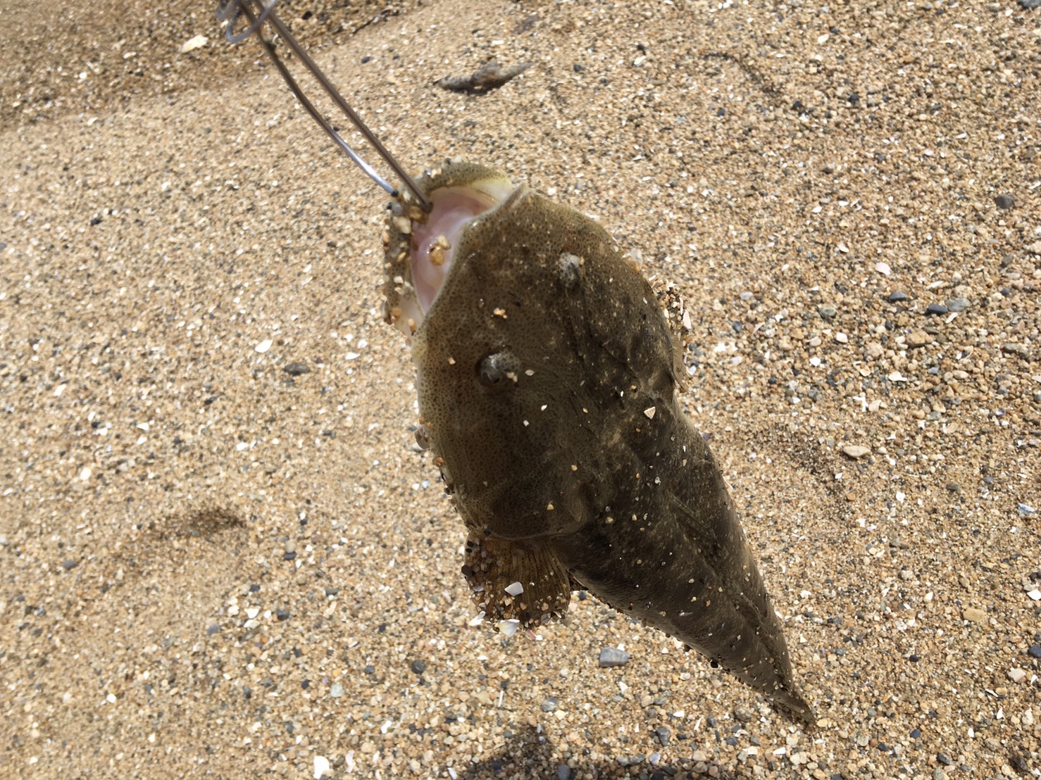 aZ2Dk2QdPFPb7bJIcqwCsfH1VUDbenILu3zHqf7v8LCeCWrEzNEhjek93GEShrZPHvDuJjOZ2KDmLAy1UEy4yVZyH1KG_XO0M41TTPjI-ZLoH-4vlTaD03VSTD8AUexS - コピー