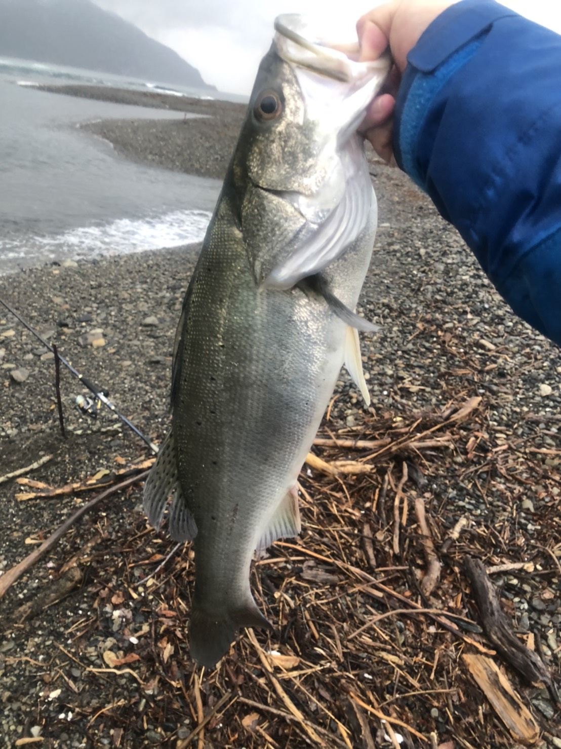 vcLO-ycyhDJ2QmDbkTHicl5i1ld8B3c1EBAHm-JmJkeL0fJgLImPyJobG3j_7Vfz4c_Ixf49BajiPdbLgOZbXyZMQ_PVkO8Qa8mTODsbAUGYcENHm9VEqRmBEQ5vUDVZ - コピー