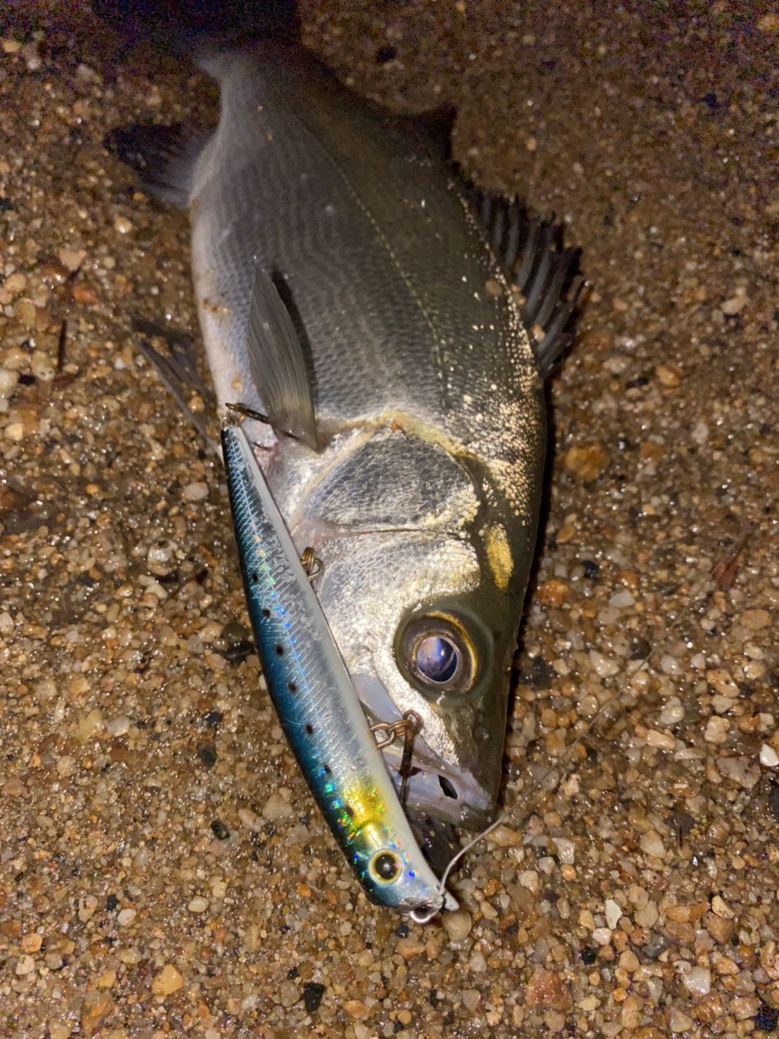 vEhoinzx_ptiqXaNanOWfrodxdoUrbRlvuG_a4zn77VSkn-1mQRuHO7Zmi2E2LV4JEAwrqcWSPqLjalK3BLWkFNKdB2McWdJ_ggDpK-zuYOAjZ_tVHO-qpCTmE_M7crw - コピー